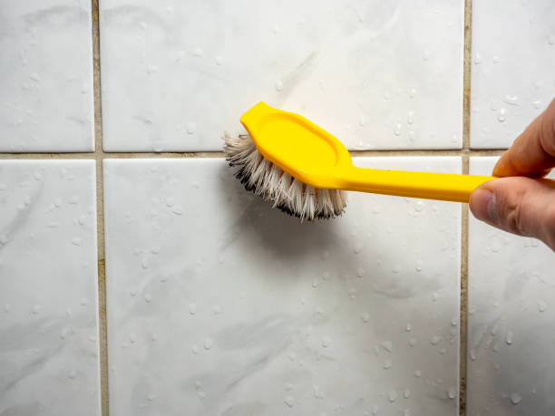 Reliable Gardner, MA Mold Removal Solutions