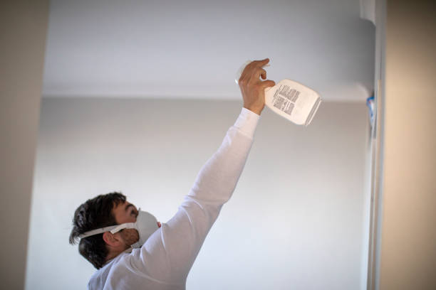 Best Mold Remediation  in Gardner, MA