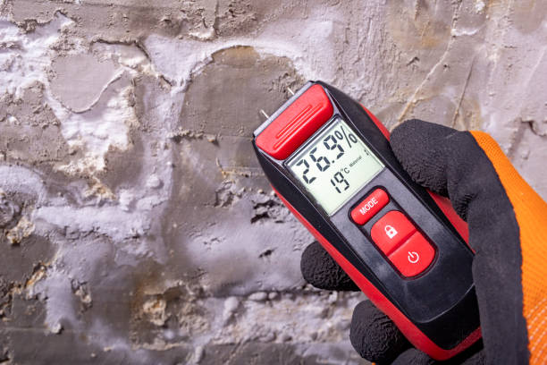 Best Mold Cleaning Services  in Gardner, MA
