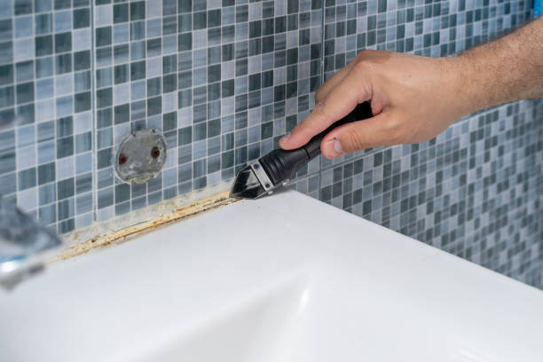 Best Emergency Mold Removal  in Gardner, MA